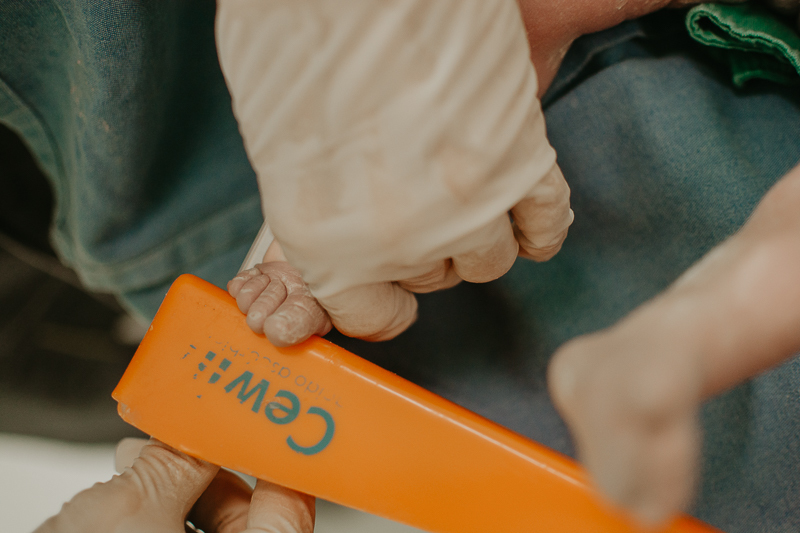 franciele duailibi photography; 
fotografia de gestante cg
fotografia de parto campo grande;
fotografia de gravida; 
maternidade;  gravida em campo grande
franciele duailibi; fotos de nascimento de bebe; 
ensaio gestante em campo grande