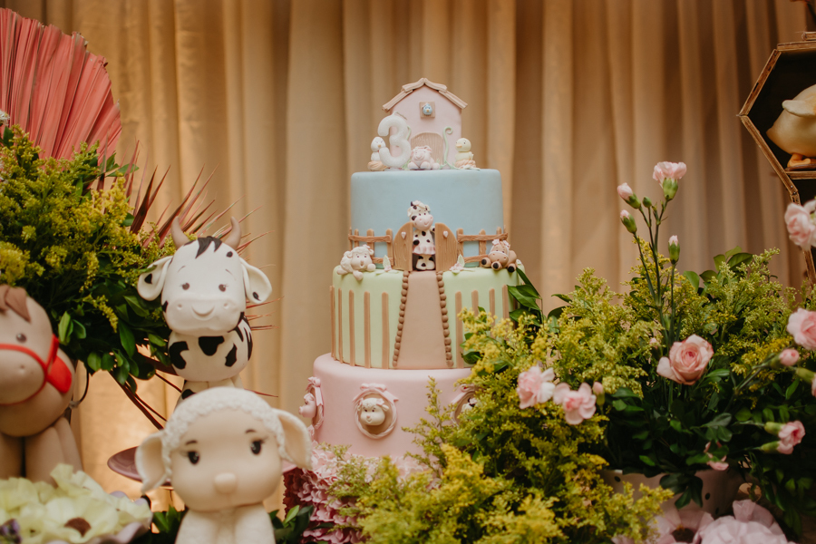 franciele duailibi photography; fotografia de festa infantil; festa infantil campo grande; campo grande; fotografia; decoração fazendinha ; buffet infantil campo grande; fotografa de criança; fotos de aniversario; buffet infantil galize aventura