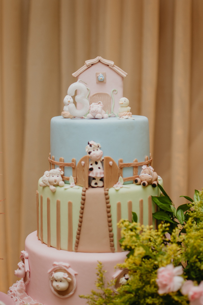 franciele duailibi photography; fotografia de festa infantil; festa infantil campo grande; campo grande; fotografia; decoração fazendinha ; buffet infantil campo grande; fotografa de criança; fotos de aniversario; buffet infantil galize aventura