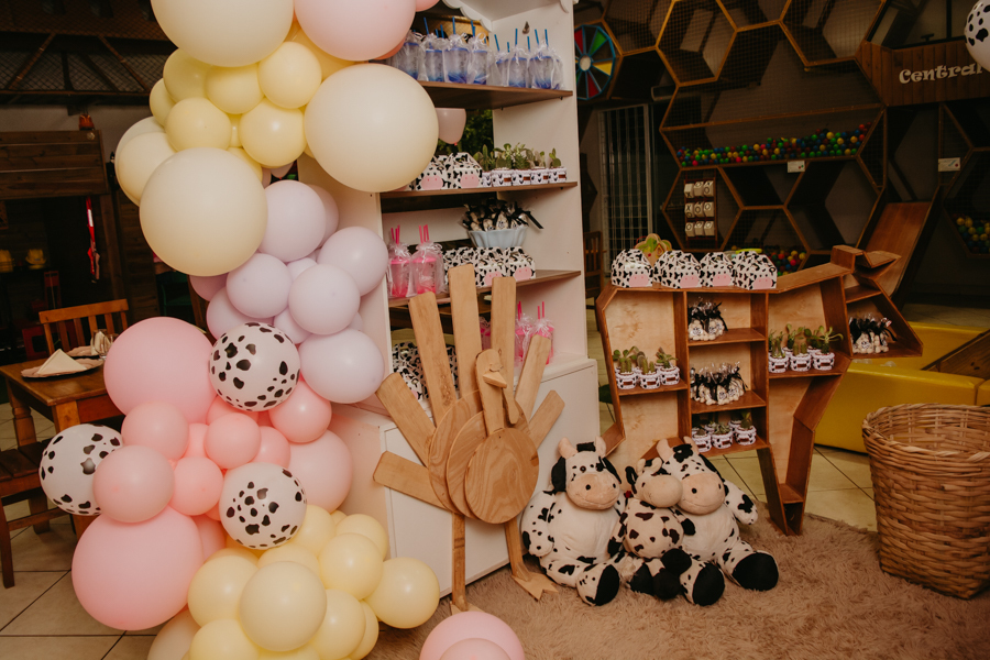 franciele duailibi photography; fotografia de festa infantil; festa infantil campo grande; campo grande; fotografia; decoração fazendinha ; buffet infantil campo grande; fotografa de criança; fotos de aniversario; buffet infantil galize aventura