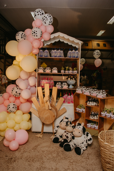 franciele duailibi photography; fotografia de festa infantil; festa infantil campo grande; campo grande; fotografia; decoração fazendinha ; buffet infantil campo grande; fotografa de criança; fotos de aniversario; buffet infantil galize aventura