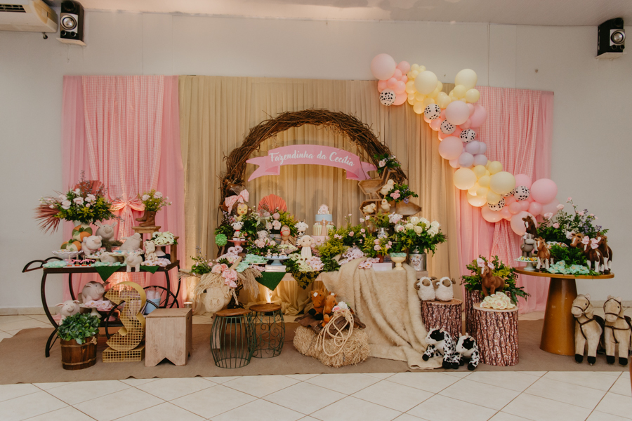 franciele duailibi photography; fotografia de festa infantil; festa infantil campo grande; campo grande; fotografia; decoração fazendinha ; buffet infantil campo grande; fotografa de criança; fotos de aniversario; buffet infantil galize aventura
