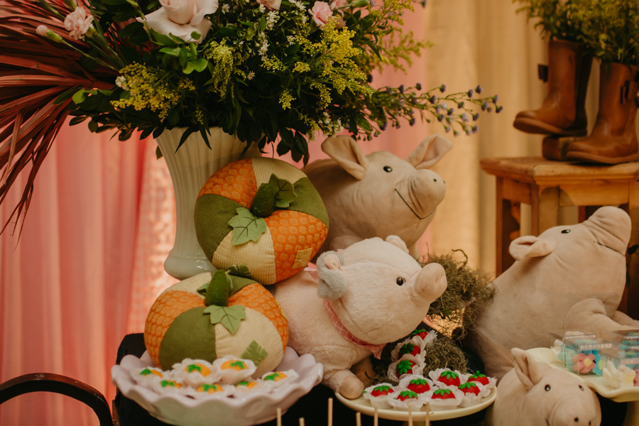 franciele duailibi photography; fotografia de festa infantil; festa infantil campo grande; campo grande; fotografia; decoração fazendinha ; buffet infantil campo grande; fotografa de criança; fotos de aniversario; buffet infantil galize aventura