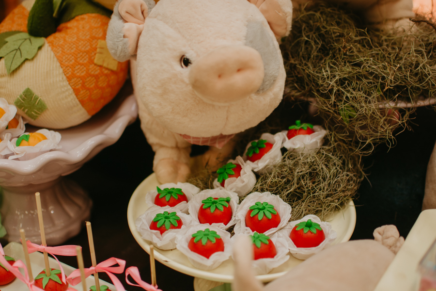 franciele duailibi photography; fotografia de festa infantil; festa infantil campo grande; campo grande; fotografia; decoração fazendinha ; buffet infantil campo grande; fotografa de criança; fotos de aniversario; buffet infantil galize aventura