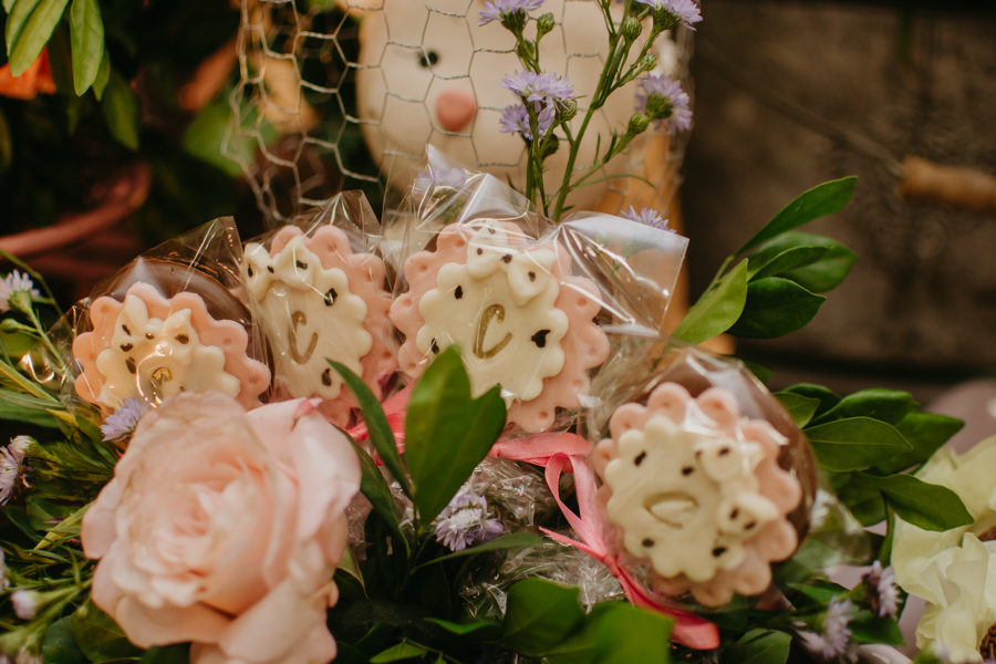 franciele duailibi photography; fotografia de festa infantil; festa infantil campo grande; campo grande; fotografia; decoração fazendinha ; buffet infantil campo grande; fotografa de criança; fotos de aniversario; buffet infantil galize aventura