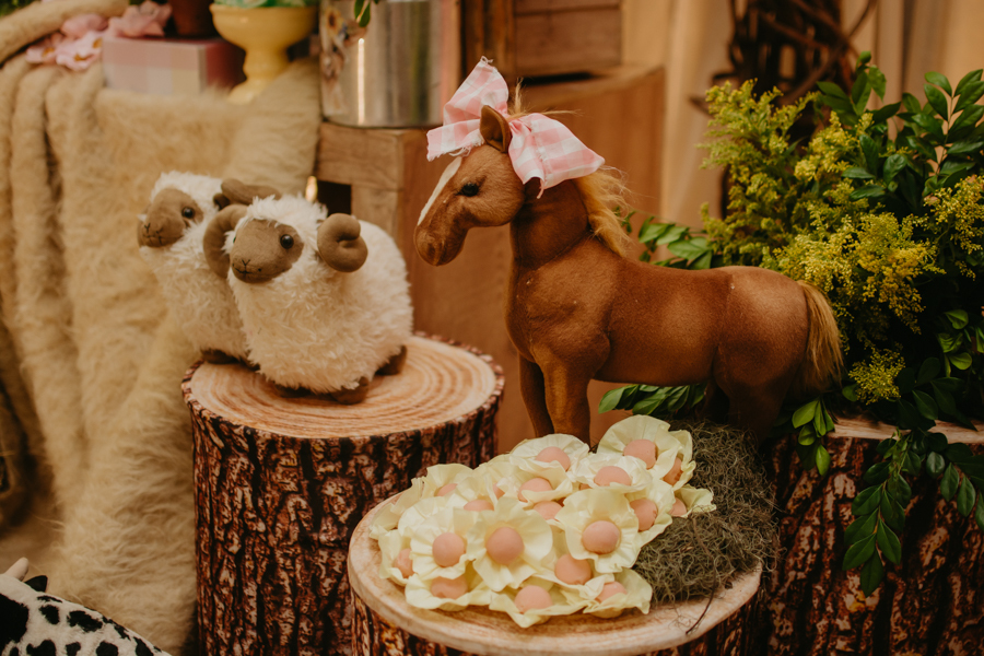 franciele duailibi photography; fotografia de festa infantil; festa infantil campo grande; campo grande; fotografia; decoração fazendinha ; buffet infantil campo grande; fotografa de criança; fotos de aniversario; buffet infantil galize aventura