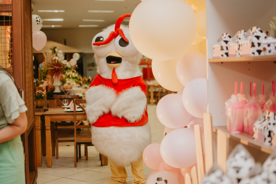 franciele duailibi photography; fotografia de festa infantil; festa infantil campo grande; campo grande; fotografia; decoração fazendinha ; buffet infantil campo grande; fotografa de criança; fotos de aniversario; buffet infantil galize aventura