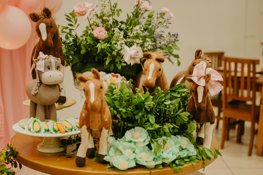 franciele duailibi photography; fotografia de festa infantil; festa infantil campo grande; campo grande; fotografia; decoração fazendinha ; buffet infantil campo grande; fotografa de criança; fotos de aniversario; buffet infantil galize aventura