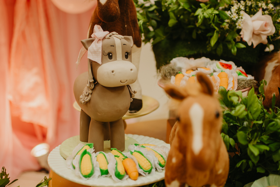 franciele duailibi photography; fotografia de festa infantil; festa infantil campo grande; campo grande; fotografia; decoração fazendinha ; buffet infantil campo grande; fotografa de criança; fotos de aniversario; buffet infantil galize aventura