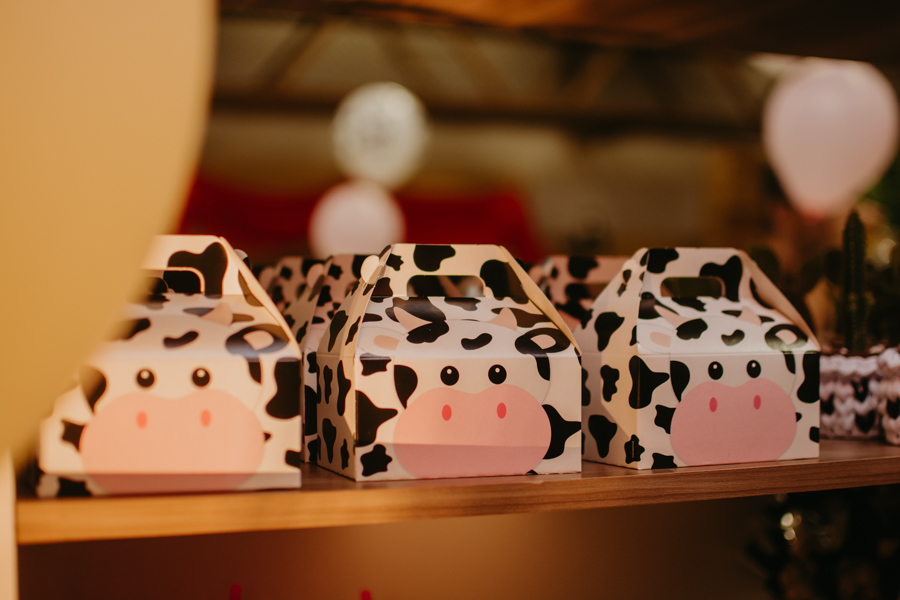 franciele duailibi photography; fotografia de festa infantil; festa infantil campo grande; campo grande; fotografia; decoração fazendinha ; buffet infantil campo grande; fotografa de criança; fotos de aniversario; buffet infantil galize aventura