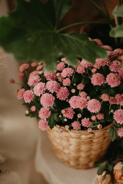  minis; mini session; mini sessao; dia das maes; sessao dia das maes; mamae e eu; boho chic; campo grande ms ; fotografo campo grande; maternidade; 

franciele duailibi photography; fotografa campo grande;  fotografia de familia ; ensaio de bebe 