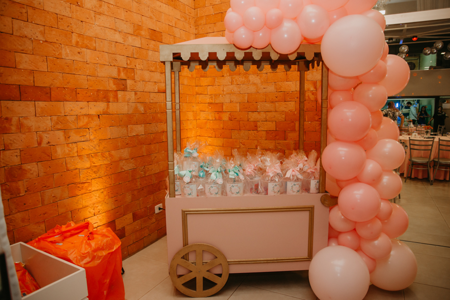 franciele duailibi fotografia; fotografia de festa infantil; festa infantil campo grande; campo grande; fotografia; decoração clean ; buffet infantil campo grande; fotografa de criança; fotos de aniversario; buffet infantil casa da dinda, campo grande 