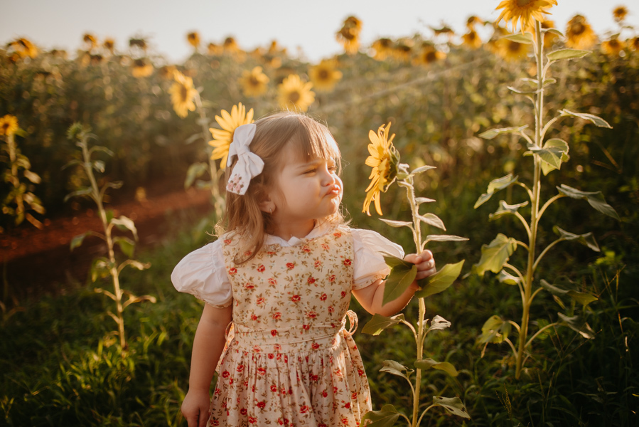 ensaio familia 2 aninhos, ensaio familia no girassol,  fotos de familia no girassol., campo de girasol em campo grande, ensaio bebe 2 aninhos no girassol, fotografo em campo grande; fotos de familia em campo grande; ensaio de gravida em campo grande