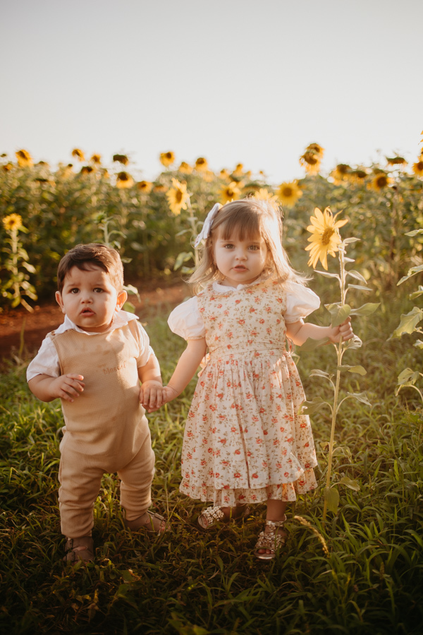 ensaio familia 2 aninhos, ensaio familia no girassol,  fotos de familia no girassol., campo de girasol em campo grande, ensaio bebe 2 aninhos no girassol, fotografo em campo grande; fotos de familia em campo grande; ensaio de gravida em campo grande