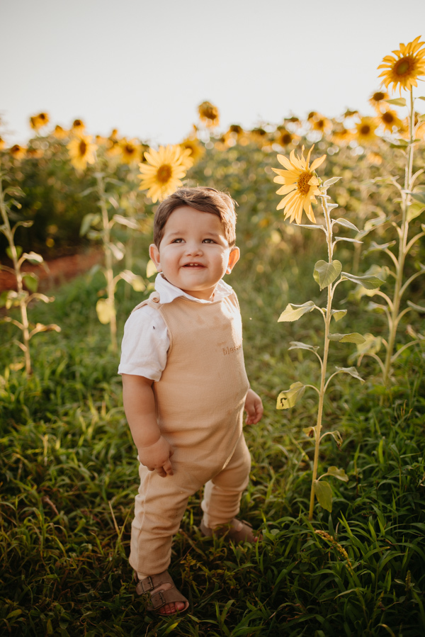 ensaio familia 2 aninhos, ensaio familia no girassol,  fotos de familia no girassol., campo de girasol em campo grande, ensaio bebe 2 aninhos no girassol, fotografo em campo grande; fotos de familia em campo grande; ensaio de gravida em campo grande