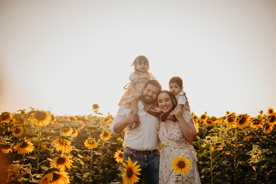 ensaio familia 2 aninhos, ensaio familia no girassol,  fotos de familia no girassol., campo de girasol em campo grande, ensaio bebe 2 aninhos no girassol, fotografo em campo grande; fotos de familia em campo grande; ensaio de gravida em campo grande