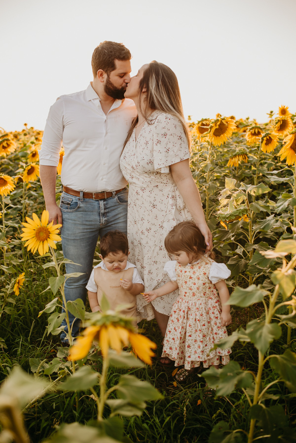ensaio familia 2 aninhos, ensaio familia no girassol,  fotos de familia no girassol., campo de girasol em campo grande, ensaio bebe 2 aninhos no girassol, fotografo em campo grande; fotos de familia em campo grande; ensaio de gravida em campo grande