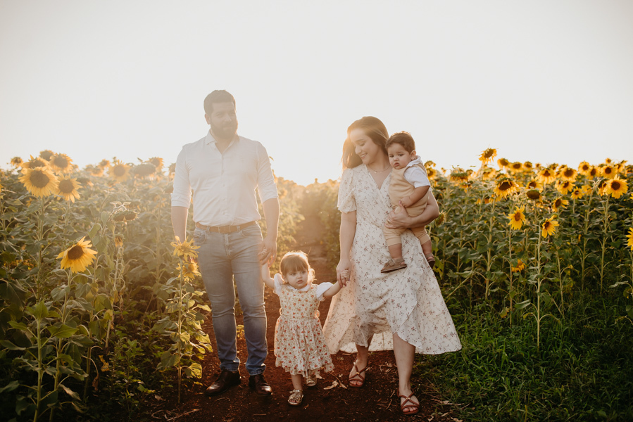 ensaio familia 2 aninhos, ensaio familia no girassol,  fotos de familia no girassol., campo de girasol em campo grande, ensaio bebe 2 aninhos no girassol, fotografo em campo grande; fotos de familia em campo grande; ensaio de gravida em campo grande