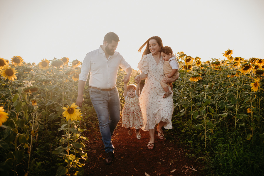 ensaio familia 2 aninhos, ensaio familia no girassol,  fotos de familia no girassol., campo de girasol em campo grande, ensaio bebe 2 aninhos no girassol, fotografo em campo grande; fotos de familia em campo grande; ensaio de gravida em campo grande