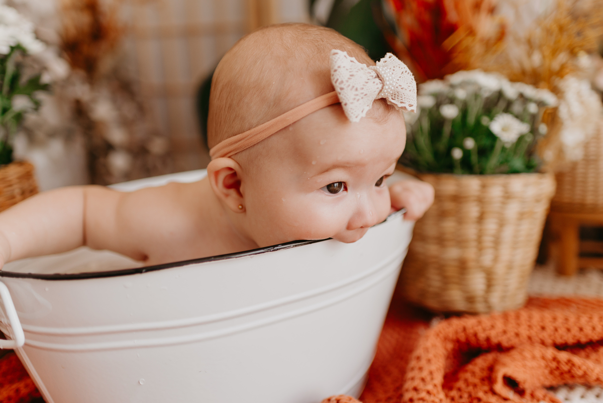 ensaio bebe menina 9 meses no estudio, estilo boho, ensaio melancia

fotos em familia no estudio

ensaio bebe na agua

agua com morango, bebe na bacia

agua banquinha