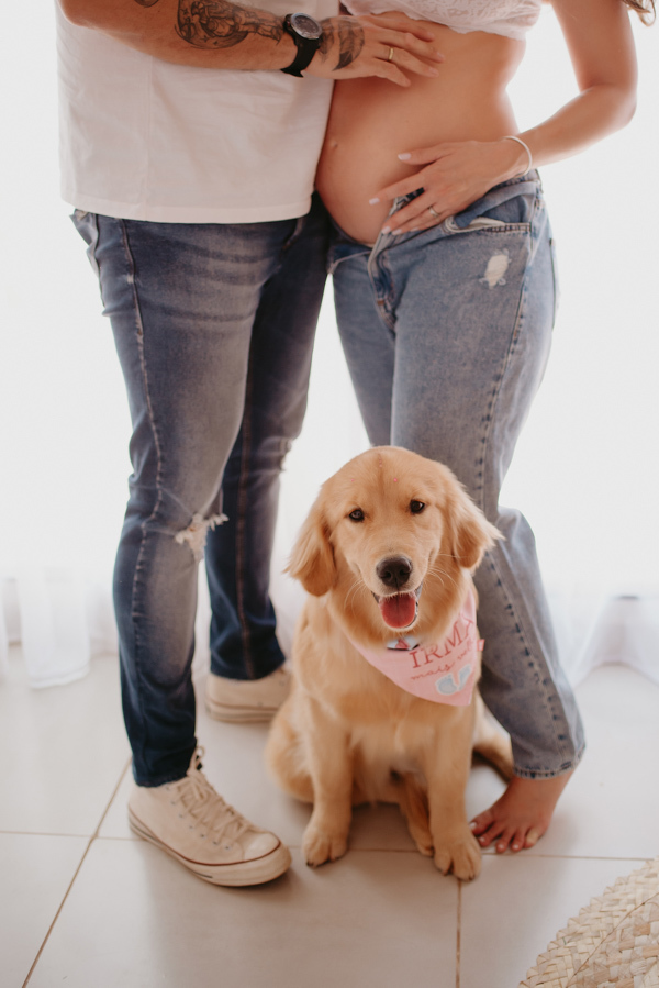 ensaio de gestante; fotos de gravida estudio ; estudio de fotos em campo grande; fotos fran duailibi; fotografa campo grande; fotografo de gestante; ensaio gravida; ensaio criativo gestante; fotos de gravida; gestante com pet; ensaio gravida com cachorro