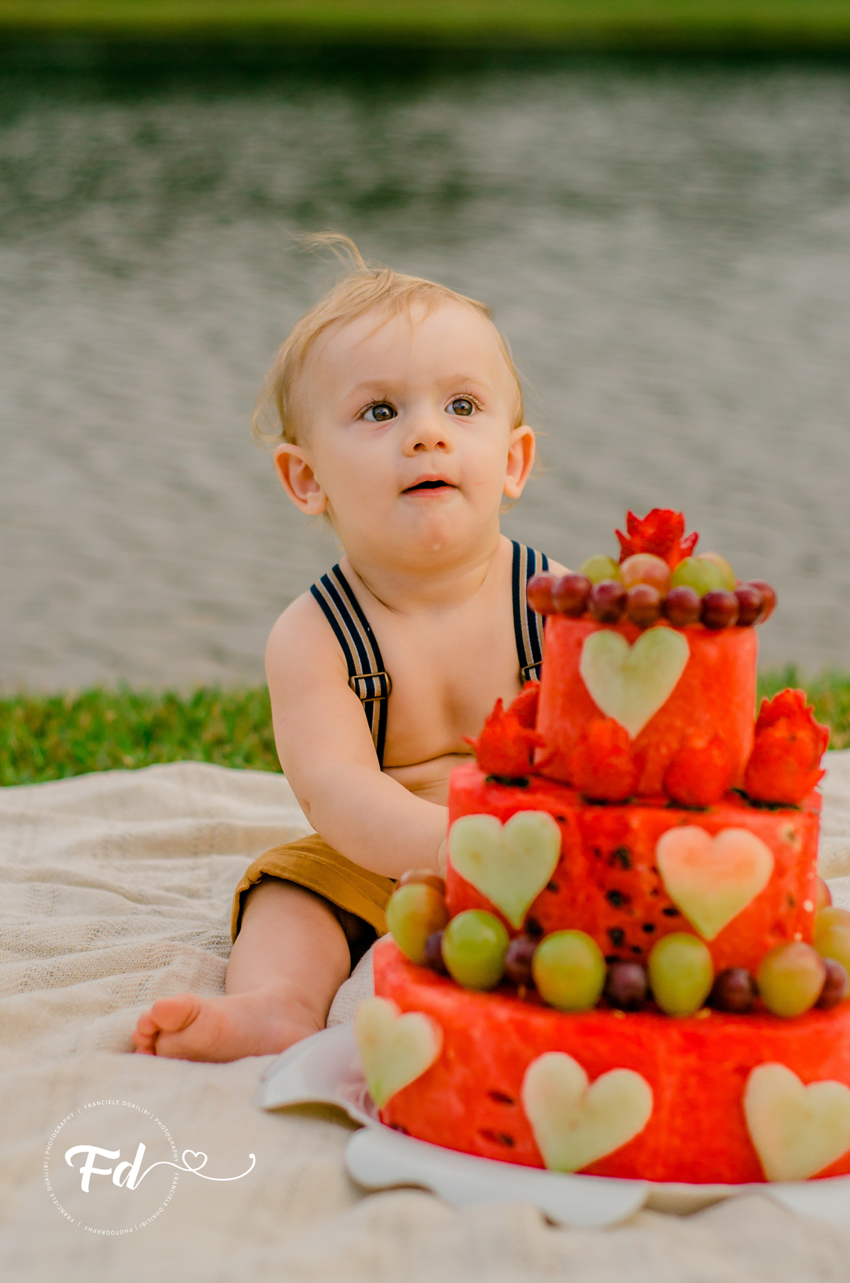 franciele duailibi photography; 
fotografia de familia cg; fotografia de familia ; ensaio de bebe ; smash the fruit ; smash the cake; smash the fruti campo grande; ensaio de bebe campo grande; ensaio externo 1 ano campo grande ; fotografo de criança;
