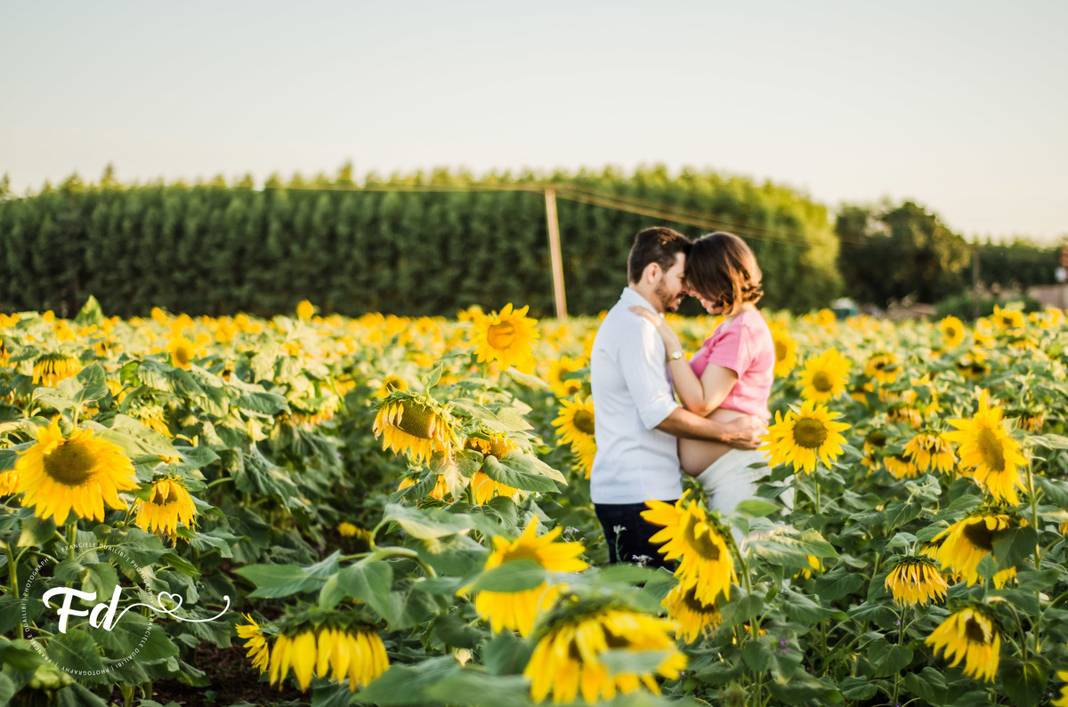 franciele duailibi photography; 
fotografia de gestante cg
fotografia de parto campo grande;
fotografia de gravida;
maternidade;  gravida em campo grande
franciele duailibi;
ensaio gestante no girassol; girassol cg; ensaio no girassol cg; gravida girassol