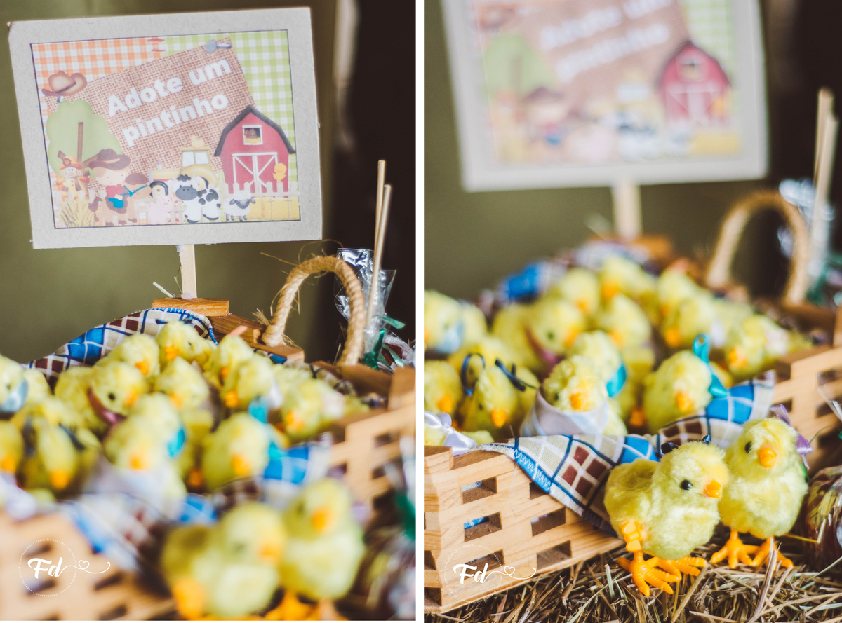 franciele duailibi photography; 
fotografo de festa infantil campo grande; campo grande;
fotografia;
decoração de festa;
buffet infantil campo grande;
fotografa de criança;
fotos de aniversario;
franciele duailibi;
fotografo de festa cg