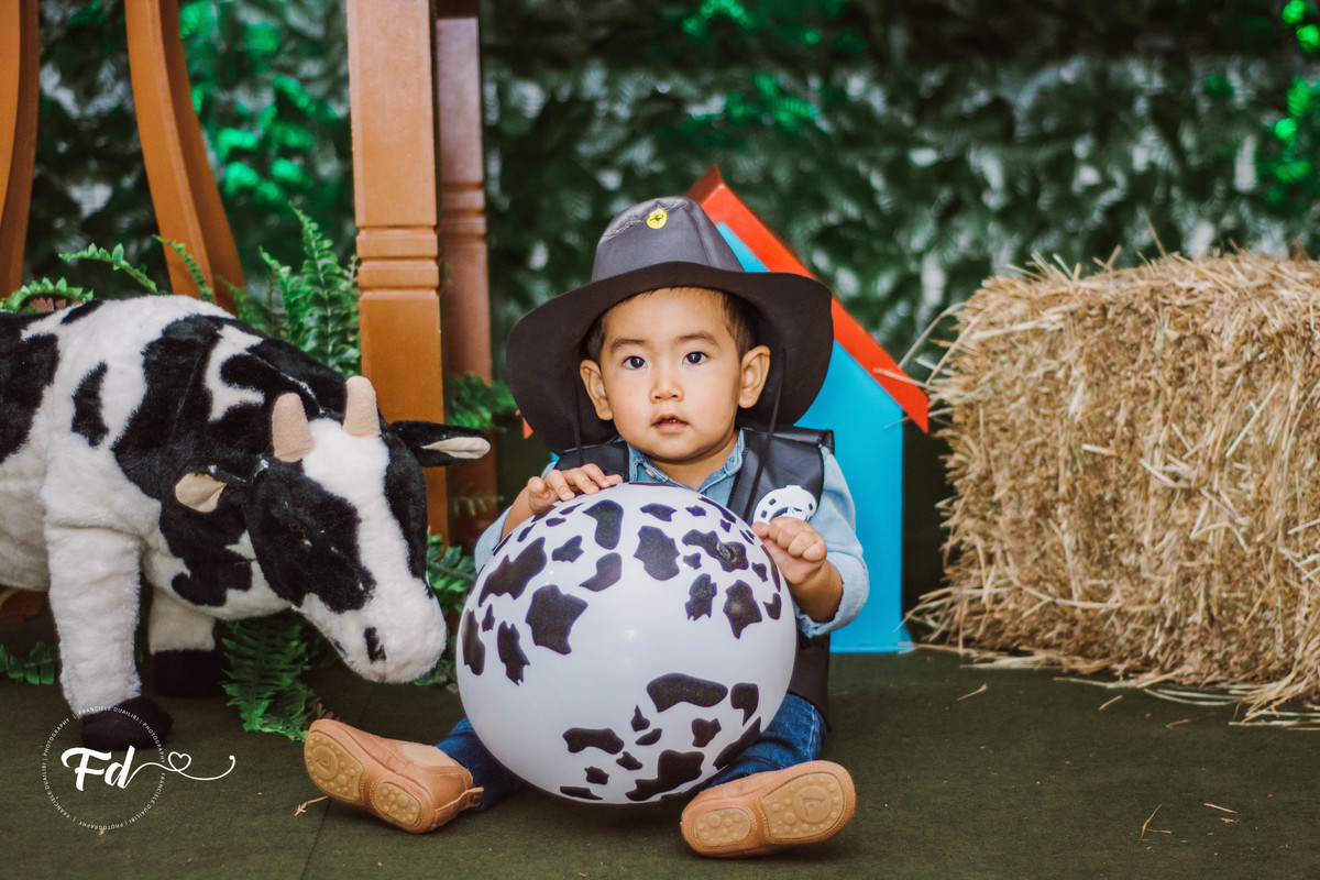 franciele duailibi photography; 
fotografo de festa infantil campo grande; campo grande;
fotografia;
decoração de festa;
buffet infantil campo grande;
fotografa de criança;
fotos de aniversario;
franciele duailibi;
fotografo de festa cg