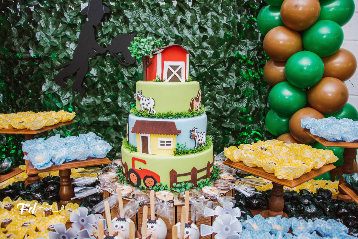 franciele duailibi photography; 
fotografo de festa infantil campo grande; campo grande;
fotografia;
decoração de festa;
buffet infantil campo grande;
fotografa de criança;
fotos de aniversario;
franciele duailibi;
fotografo de festa cg