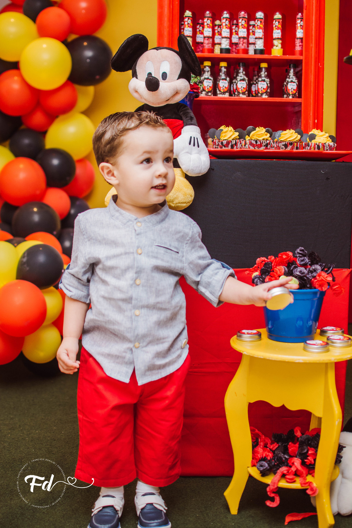 franciele duailibi photography; 
fotografo de festa infantil campo grande; campo grande;
fotografia;
decoração de festa;
buffet infantil campo grande;
fotografa de criança;
fotos de aniversario;
franciele duailibi;
fotografo de festa cg