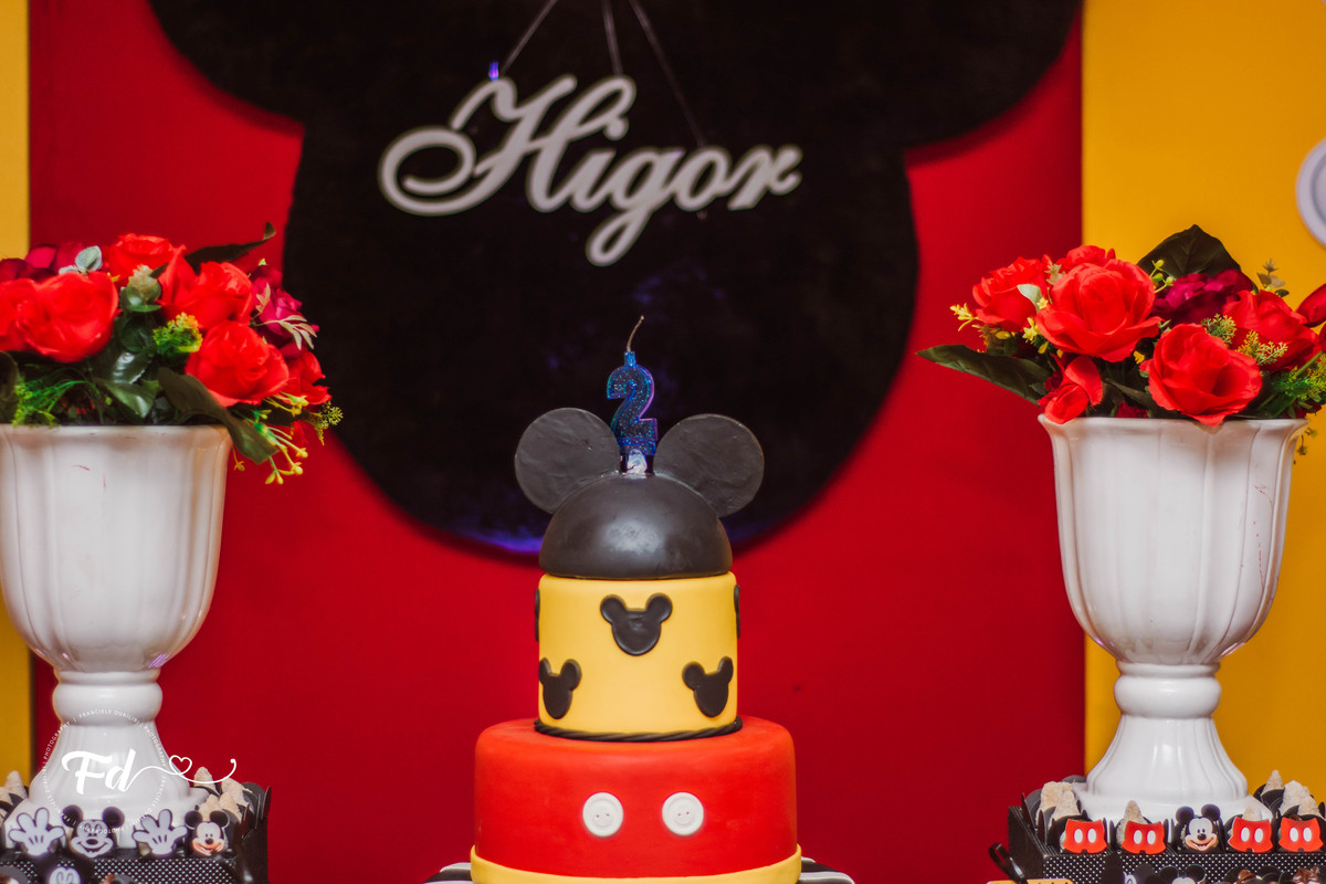 franciele duailibi photography; 
fotografo de festa infantil campo grande; campo grande;
fotografia;
decoração de festa;
buffet infantil campo grande;
fotografa de criança;
fotos de aniversario;
franciele duailibi;
fotografo de festa cg