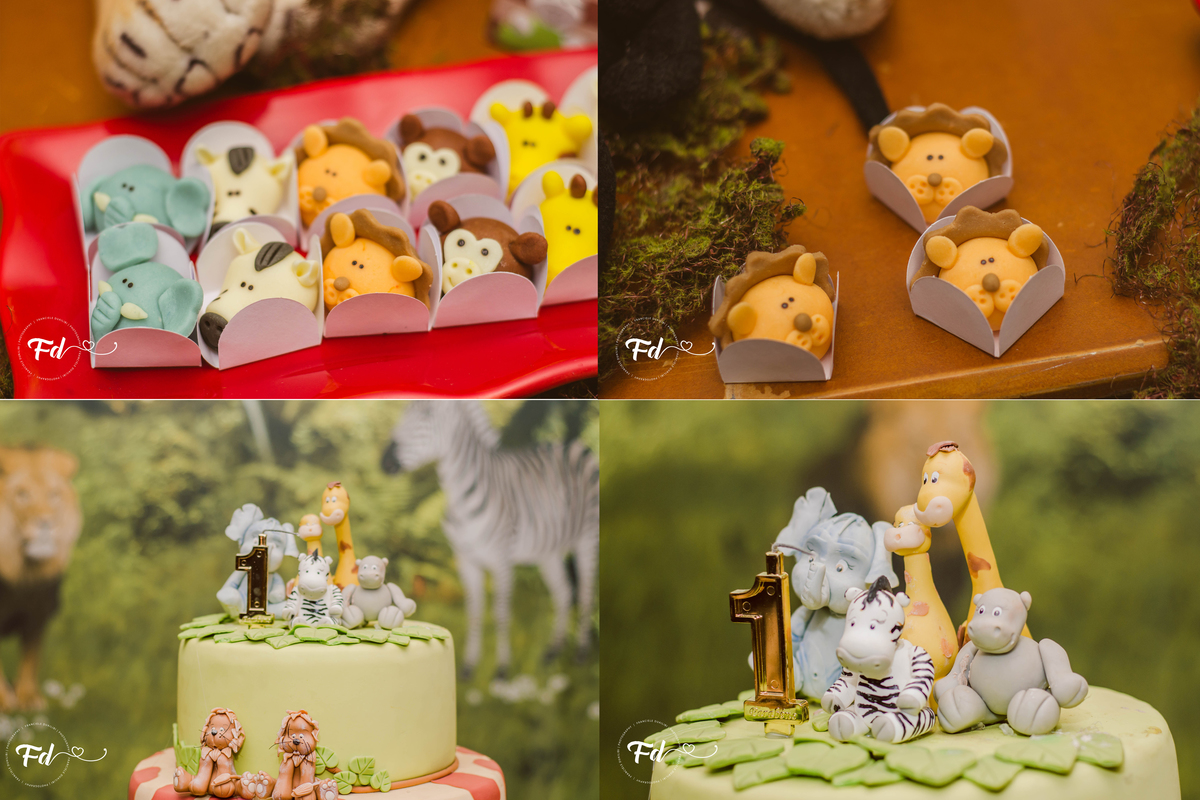 franciele duailibi photography; 
fotografo de festa infantil campo grande; campo grande;
fotografia;
decoração de festa;
buffet infantil campo grande;
fotografa de criança;
fotos de aniversario;
franciele duailibi;
fotografo de festa cg