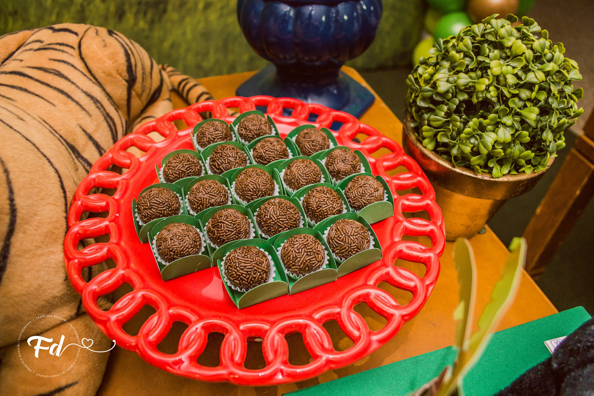 franciele duailibi photography; 
fotografo de festa infantil campo grande; campo grande;
fotografia;
decoração de festa;
buffet infantil campo grande;
fotografa de criança;
fotos de aniversario;
franciele duailibi;
fotografo de festa cg