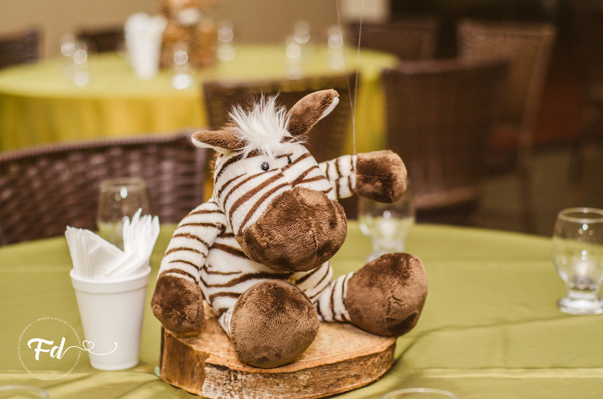 franciele duailibi photography; 
fotografo de festa infantil campo grande; campo grande;
fotografia;
decoração de festa;
buffet infantil campo grande;
fotografa de criança;
fotos de aniversario;
franciele duailibi;
fotografo de festa cg