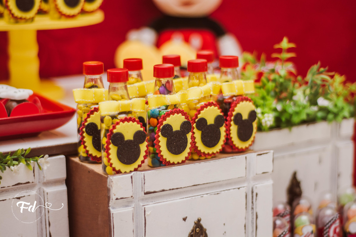 franciele duailibi photography; 
fotografo de festa infantil campo grande; campo grande;
fotografia;
decoração de festa;
buffet infantil campo grande;
fotografa de criança;
fotos de aniversario;
franciele duailibi;
fotografo de festa cg