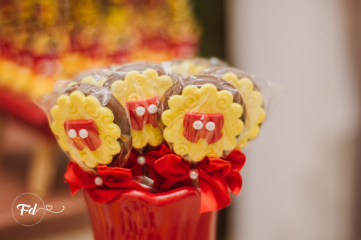 franciele duailibi photography; 
fotografo de festa infantil campo grande; campo grande;
fotografia;
decoração de festa;
buffet infantil campo grande;
fotografa de criança;
fotos de aniversario;
franciele duailibi;
fotografo de festa cg