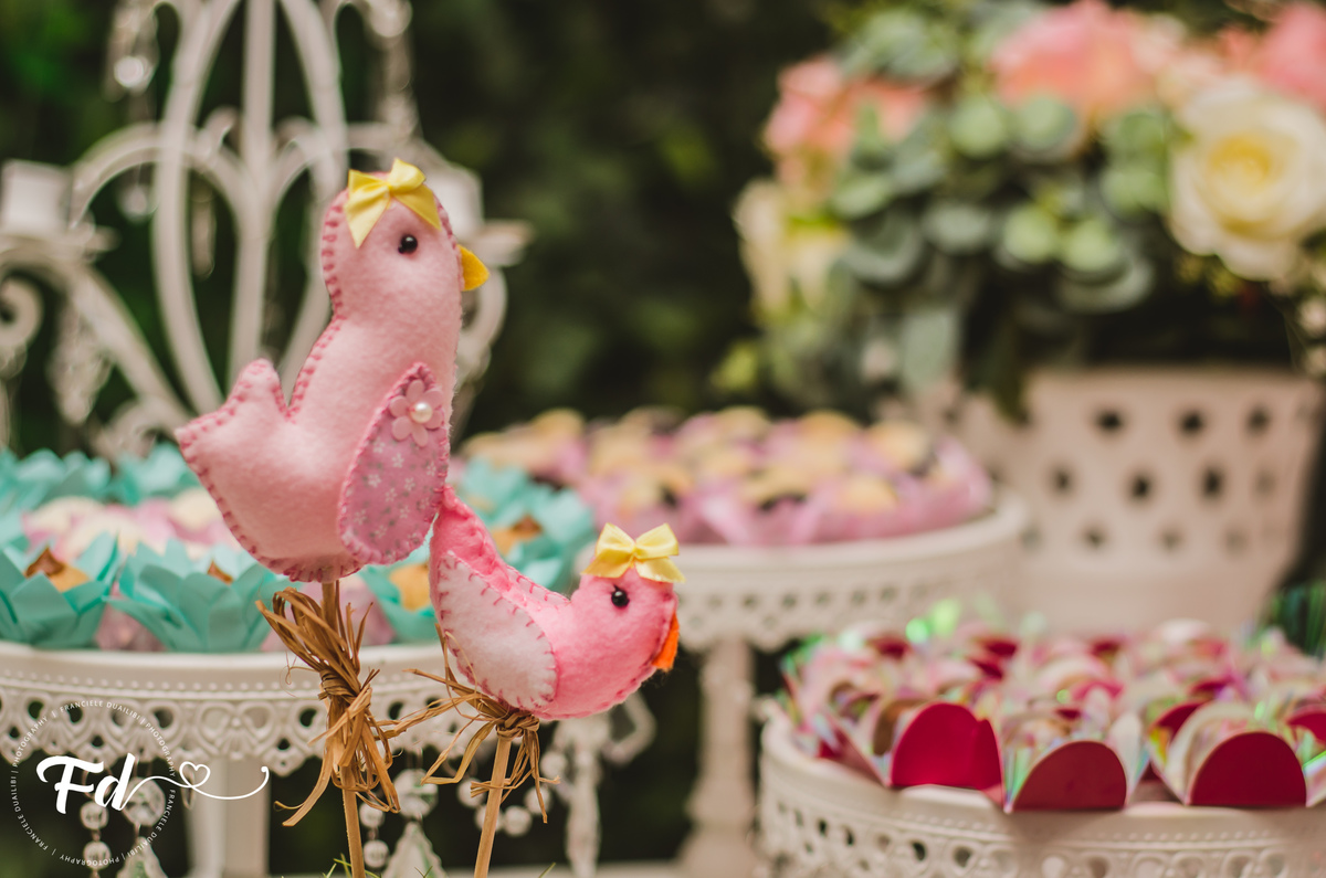 franciele duailibi photography; 
fotografia de festa infantil;
festa infantil campo grande;
campo grande;
fotografia;
decoração jardim;
buffet infantil campo grande;
fotografa de criança;
fotos de aniversario;
franciele duailibi;
#fotosfranduailibi ;
