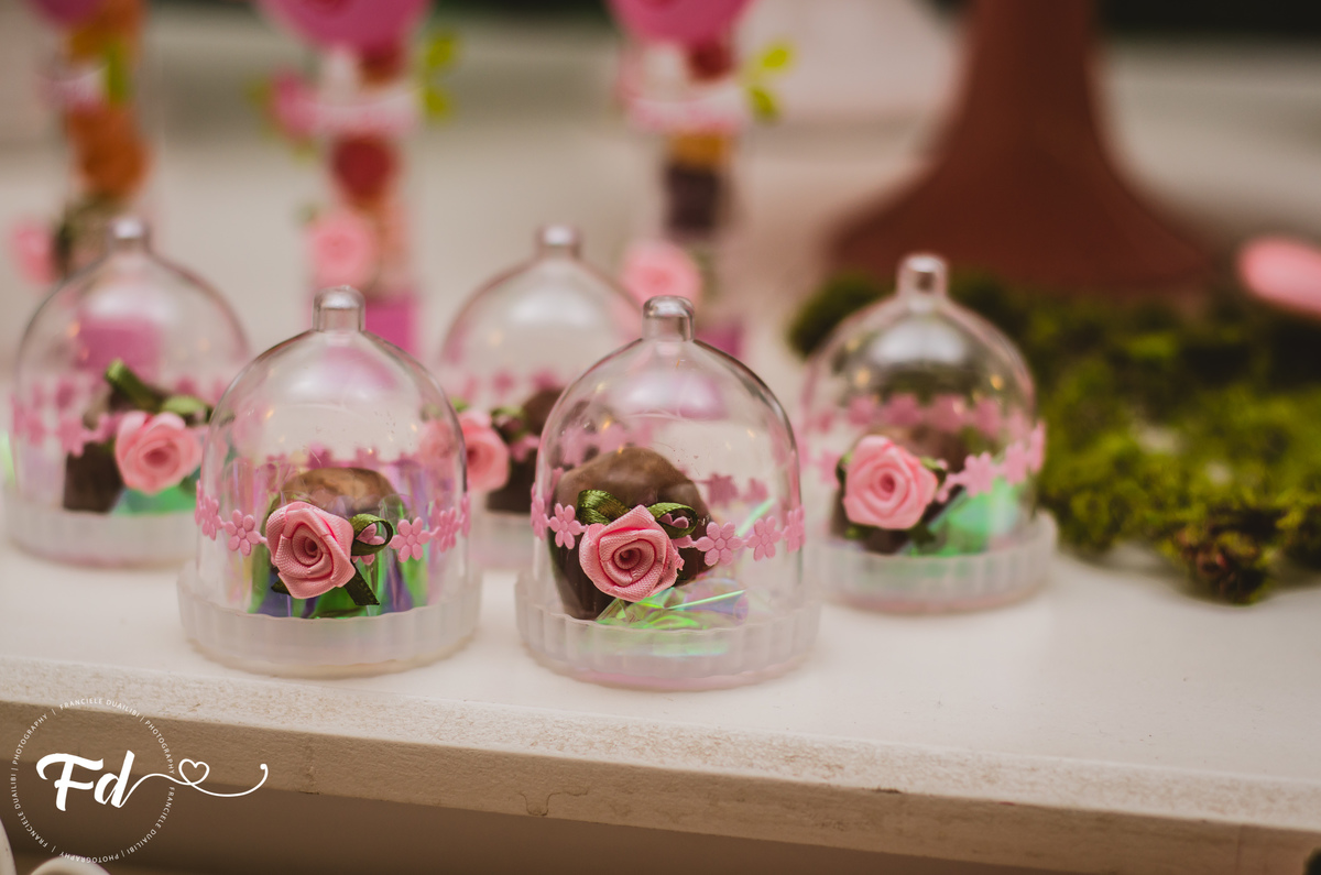 franciele duailibi photography; 
fotografia de festa infantil;
festa infantil campo grande;
campo grande;
fotografia;
decoração jardim;
buffet infantil campo grande;
fotografa de criança;
fotos de aniversario;
franciele duailibi;
#fotosfranduailibi ;
