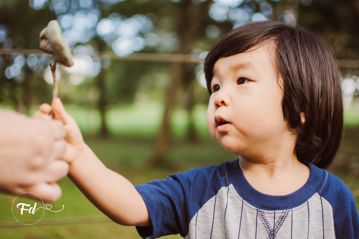 franciele duailibi photography; 
fotografia de familia cg; fotografia de familia ; ensaio de bebe ; smash the fruit ; smash the cake; smash the fruti campo grande; ensaio de bebe campo grande; ensaio externo 1 ano campo grande ; fotografo de criança;
