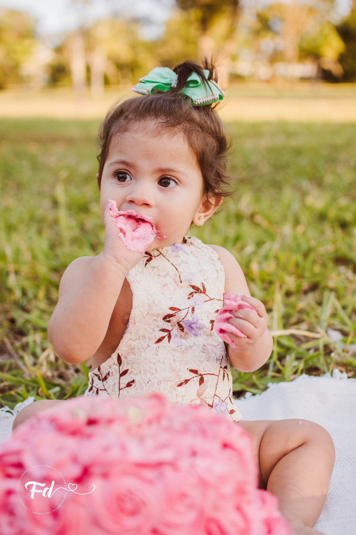 franciele duailibi photography; 
fotografia de familia cg; fotografia de familia ; ensaio de bebe ; smash the fruit ; smash the cake; smash the fruti campo grande; ensaio de bebe campo grande; ensaio externo 1 ano campo grande ; fotografo de criança;
