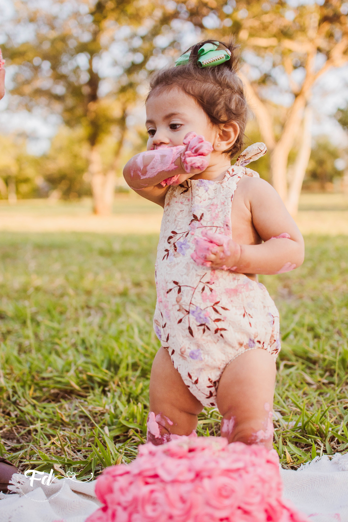 franciele duailibi photography; 
fotografia de familia cg; fotografia de familia ; ensaio de bebe ; smash the fruit ; smash the cake; smash the fruti campo grande; ensaio de bebe campo grande; ensaio externo 1 ano campo grande ; fotografo de criança;
