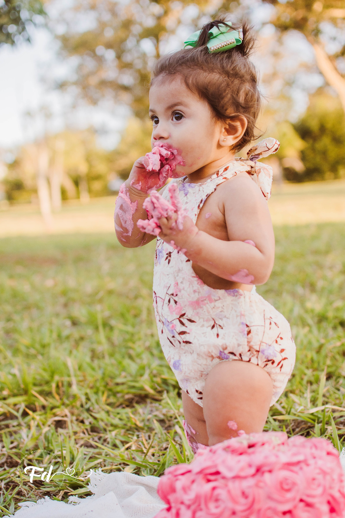 franciele duailibi photography; 
fotografia de familia cg; fotografia de familia ; ensaio de bebe ; smash the fruit ; smash the cake; smash the fruti campo grande; ensaio de bebe campo grande; ensaio externo 1 ano campo grande ; fotografo de criança;
