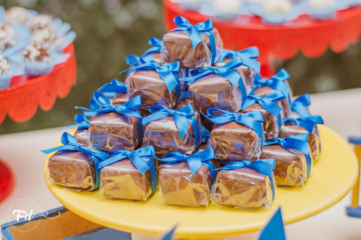 franciele duailibi photography; 
fotografo de festa infantil campo grande; campo grande;
fotografia;
decoração de festa;
buffet infantil campo grande;
fotografa de criança;
fotos de aniversario;
franciele duailibi;
fotografo de festa cg