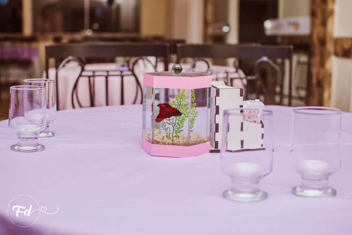 franciele duailibi photography; 
fotografia de festa infantil;
festa infantil campo grande;
campo grande;
fotografia;
decoração de festa;
buffet infantil campo grande;
fotografa de criança;
fotos de aniversario;
franciele duailibi;
fotografo de festa cg