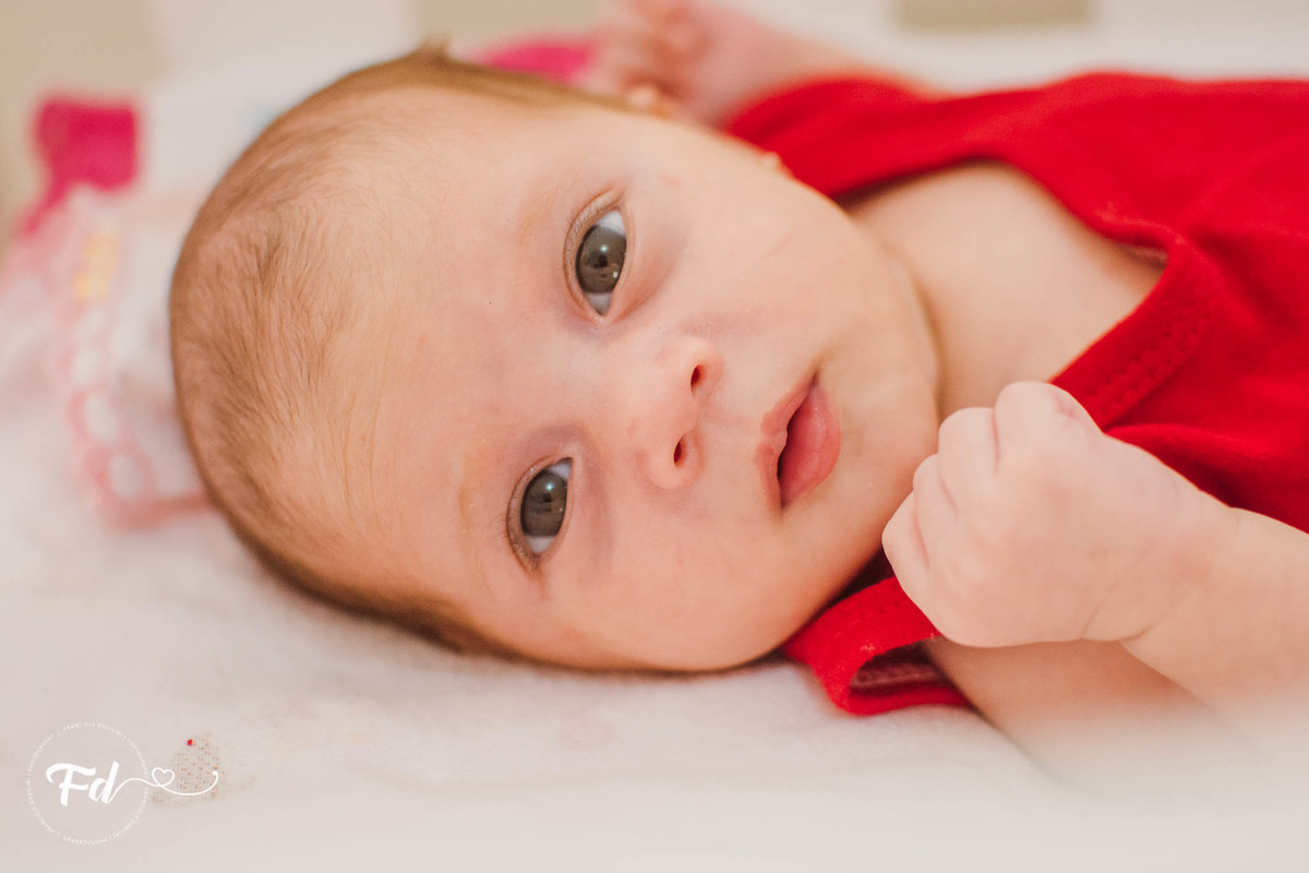 franciele duailibi photography; 
fotografia de gestante cg
fotografia de parto; campo grande;
fotografia;
recem nascido; maternidade candido mariano; fotografa de criança;
fotos newborn lifestyle;
franciele duailibi;
fotografo familia ; newborn cg 
