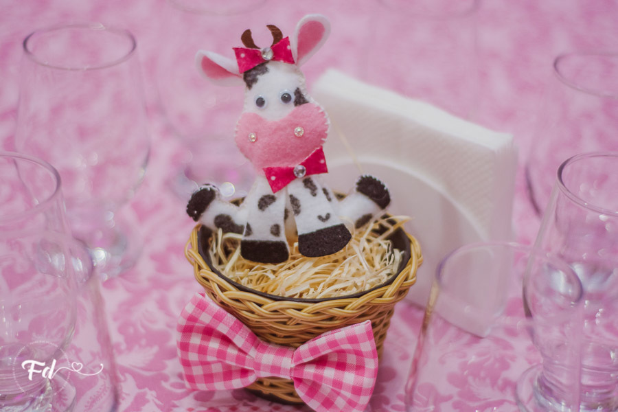 franciele duailibi photography; 
fotografo de festa infantil campo grande; 
campo grande;
fotografia;
decoração de festa;
buffet infantil campo grande;
fotografa de criança;
fotos de aniversario;
franciele duailibi;
fotografo de festa cg