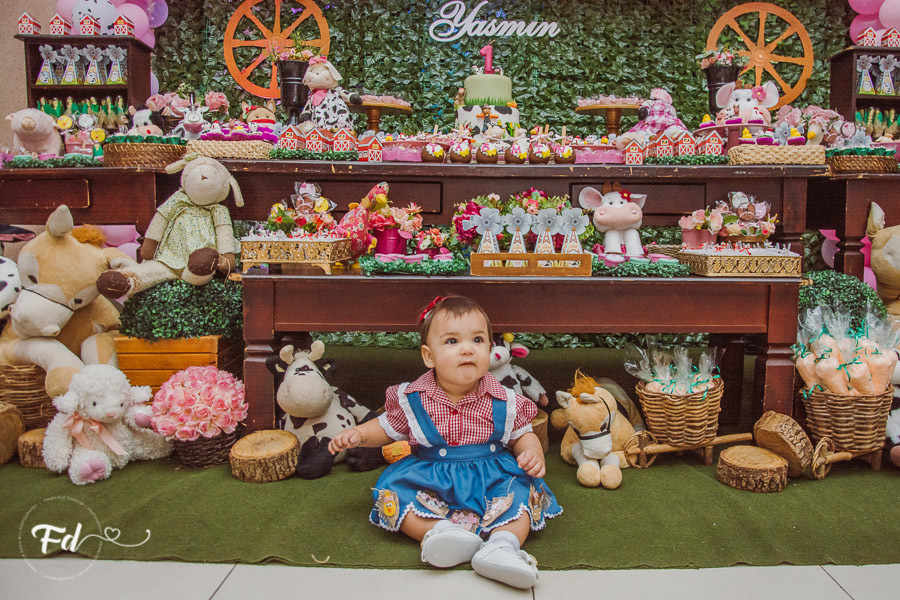 franciele duailibi photography; 
fotografia de festa infantil;
festa infantil campo grande;
campo grande;
fotografia;
decoração de festa;
buffet infantil campo grande;
fotografa de criança;
fotos de aniversario;
franciele duailibi;
fotografo de festa cg