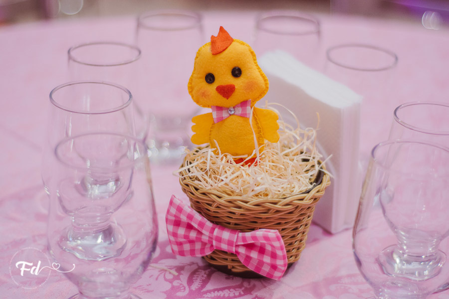 franciele duailibi photography; 
fotografia de festa infantil;
festa infantil campo grande;
campo grande;
fotografia;
decoração de festa;
buffet infantil campo grande;
fotografa de criança;
fotos de aniversario;
franciele duailibi;
fotografo de festa cg