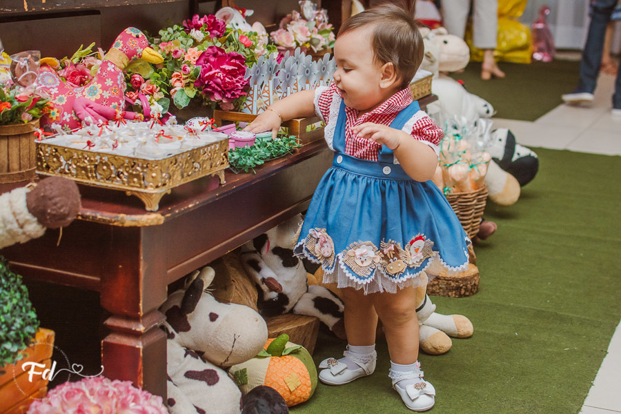 franciele duailibi photography; 
fotografia de festa infantil;
festa infantil campo grande;
campo grande;
fotografia;
decoração de festa;
buffet infantil campo grande;
fotografa de criança;
fotos de aniversario;
franciele duailibi;
fotografo de festa cg